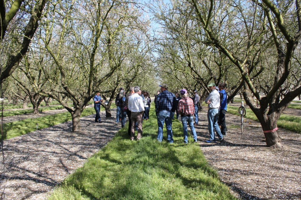 CWAC members visit with Nick Blom, Sustainable Conservation staff, Almond Board of California staff, and researchers from the University of California, Davis and Berkeley Laboratories. Photos courtesy of Alex Karolyi, Sustainable Conservation.