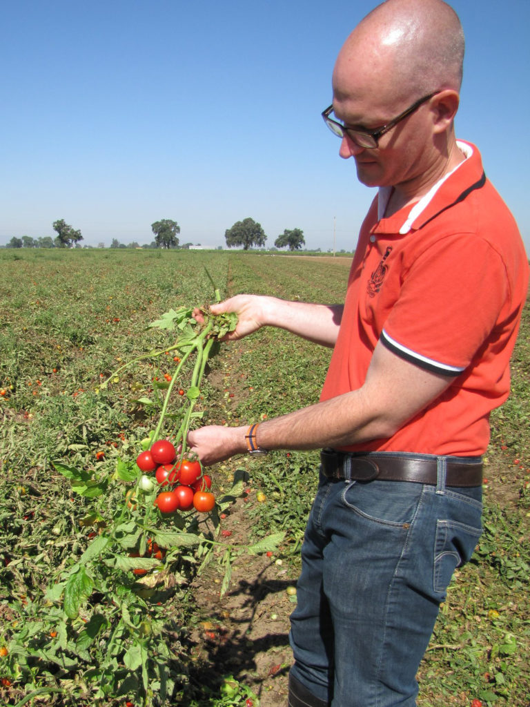 man with tomatoes