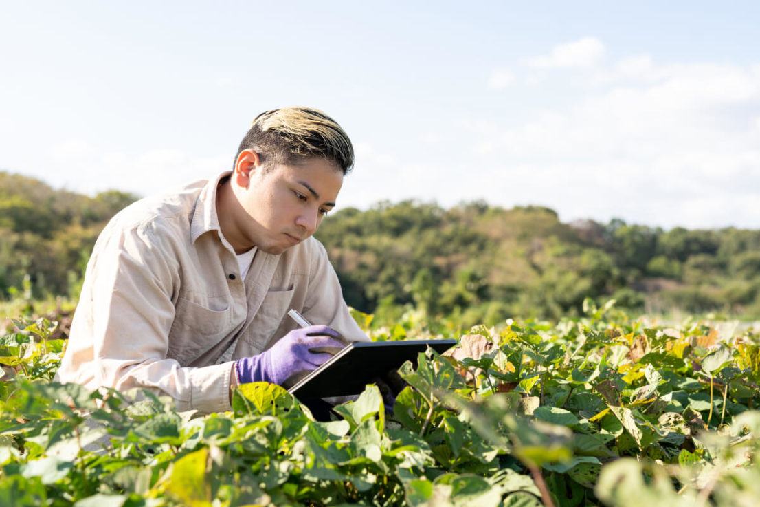 Man examining paperwork while crouching down to look at crop