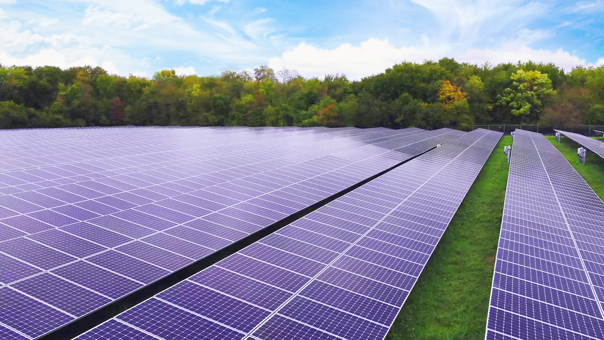 Solar panels at Campbell HQ