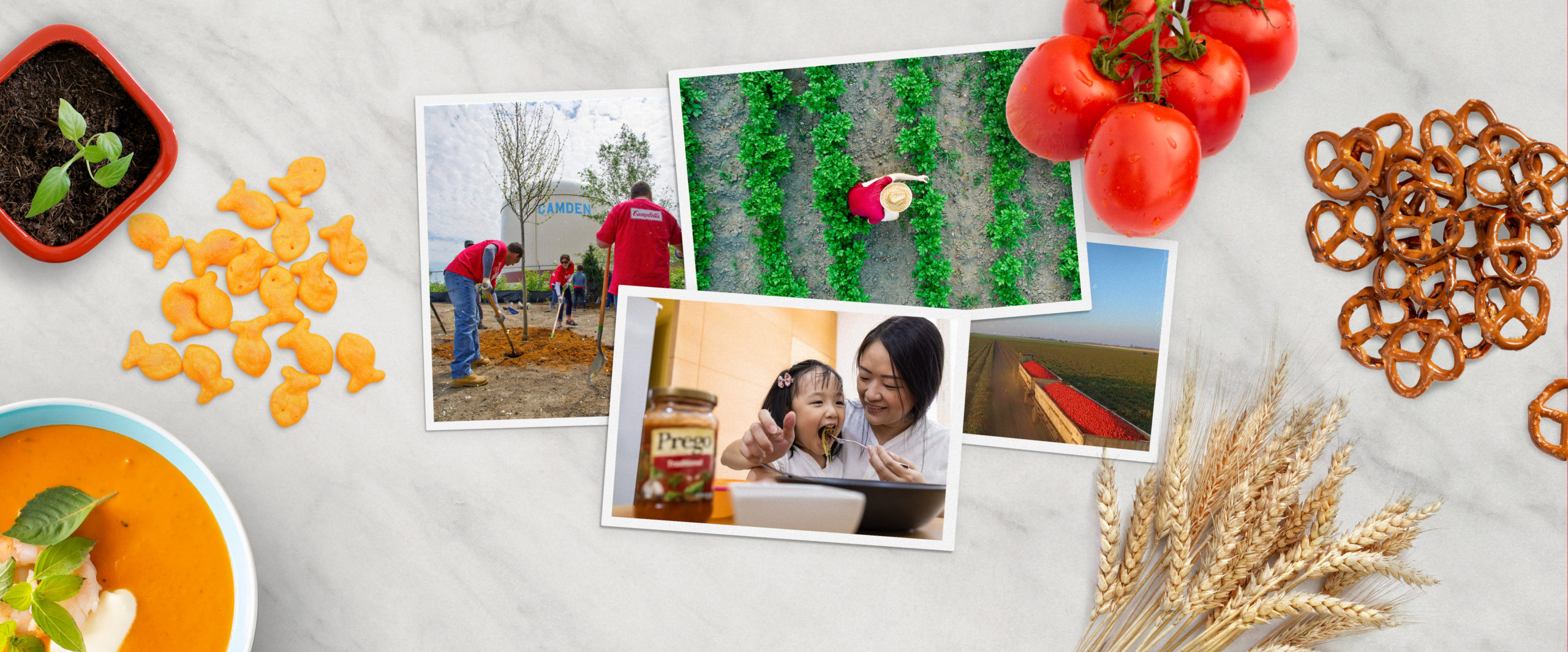 On top of marble counter: Soup, Goldfish, Tomatoes, Pretzels, Wheat, Photos of family eating, Campbell employees planting