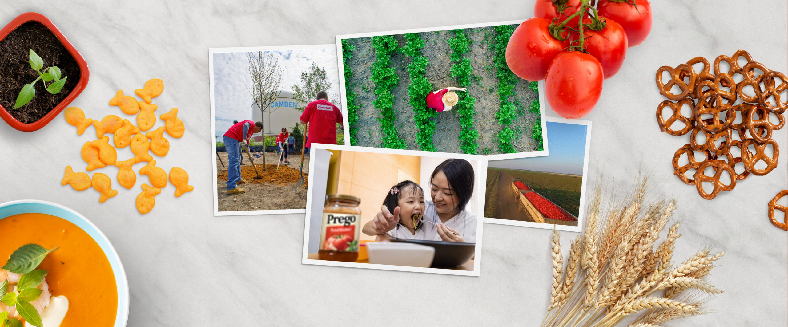 On top of marble counter: Soup, Goldfish, Tomatoes, Pretzels, Wheat, Photos of family eating, Campbell employees planting