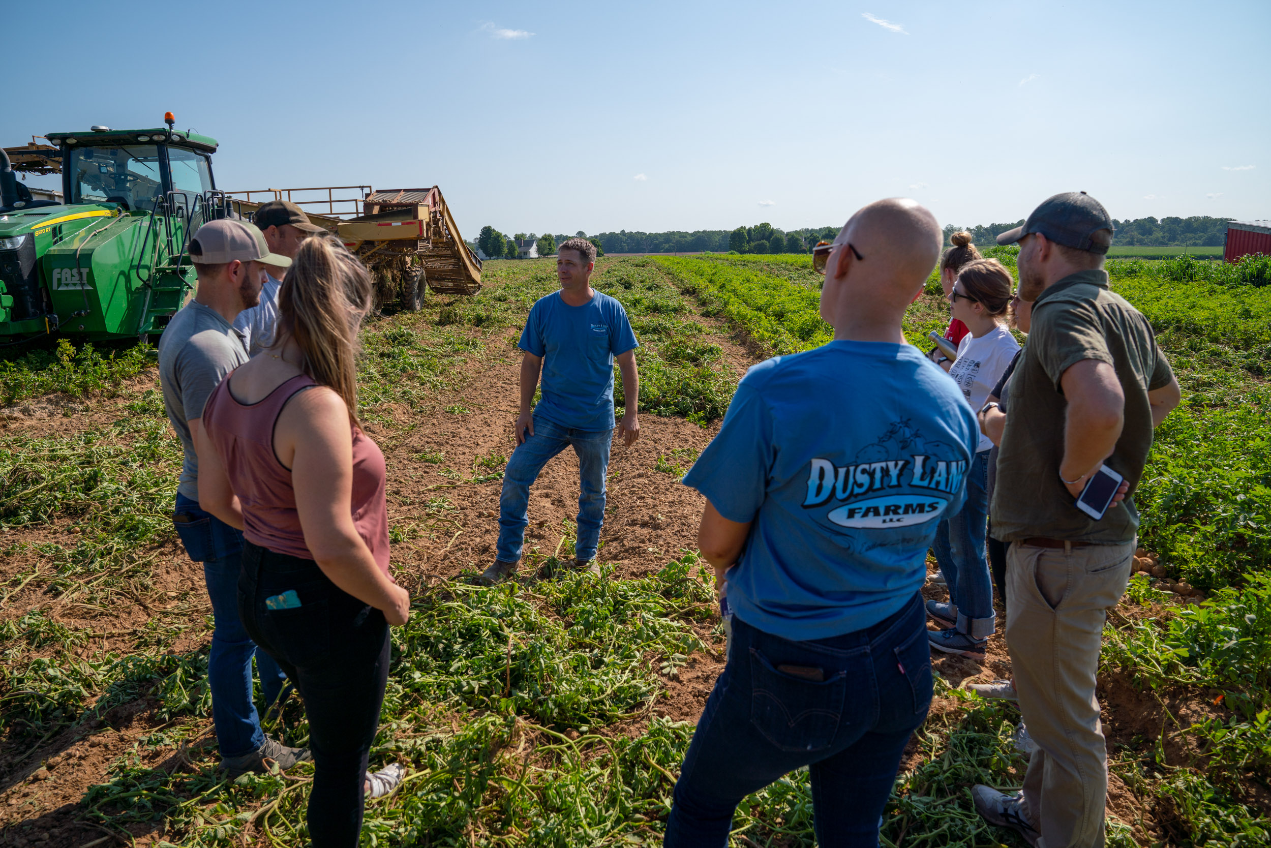 Dusty Lane Farm potato fields